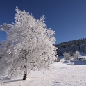 Lac de Joux - 023